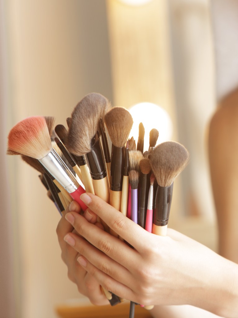 TYPES OF MAKEUP BRUSHES BRISTLE